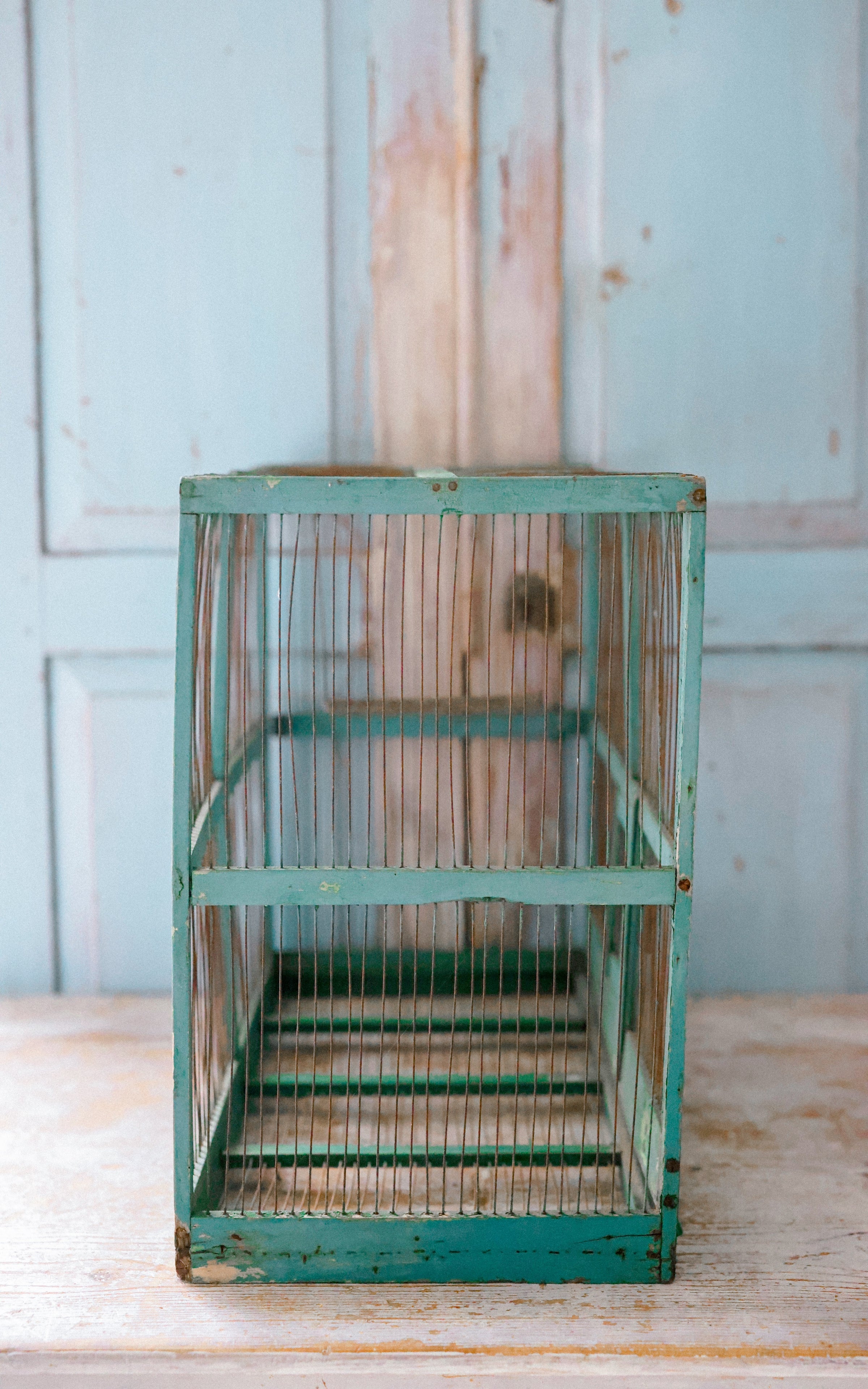 Vintage French Bird Cage