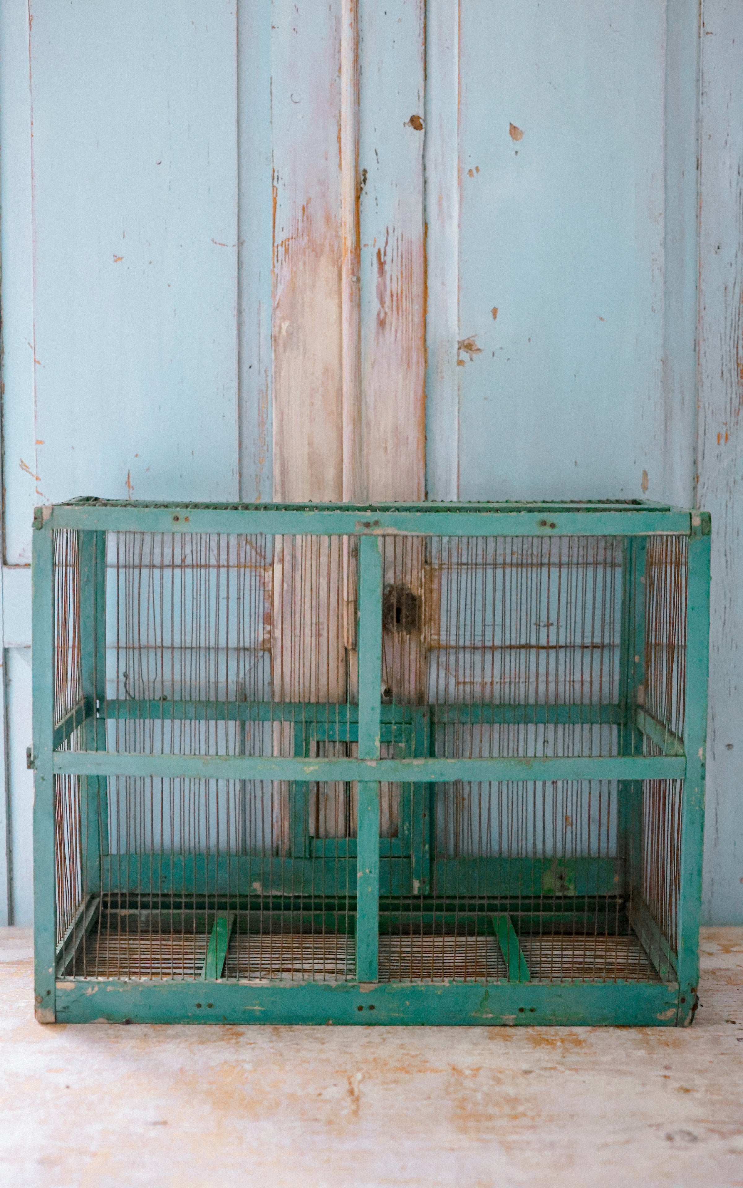 Vintage French Bird Cage