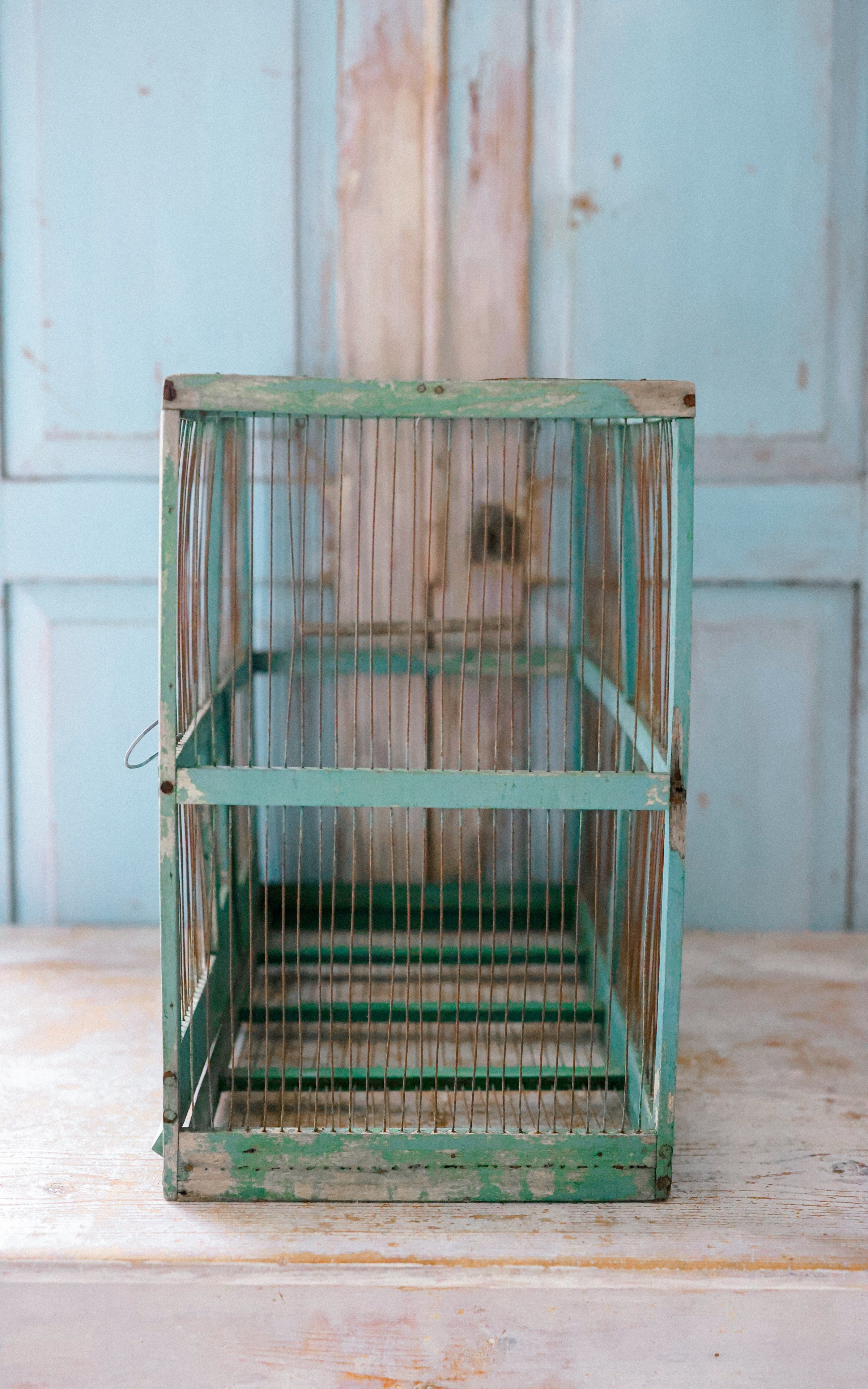 Vintage French Bird Cage