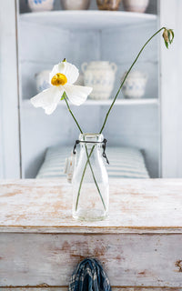 Vintage French Porcelain Canning Jar