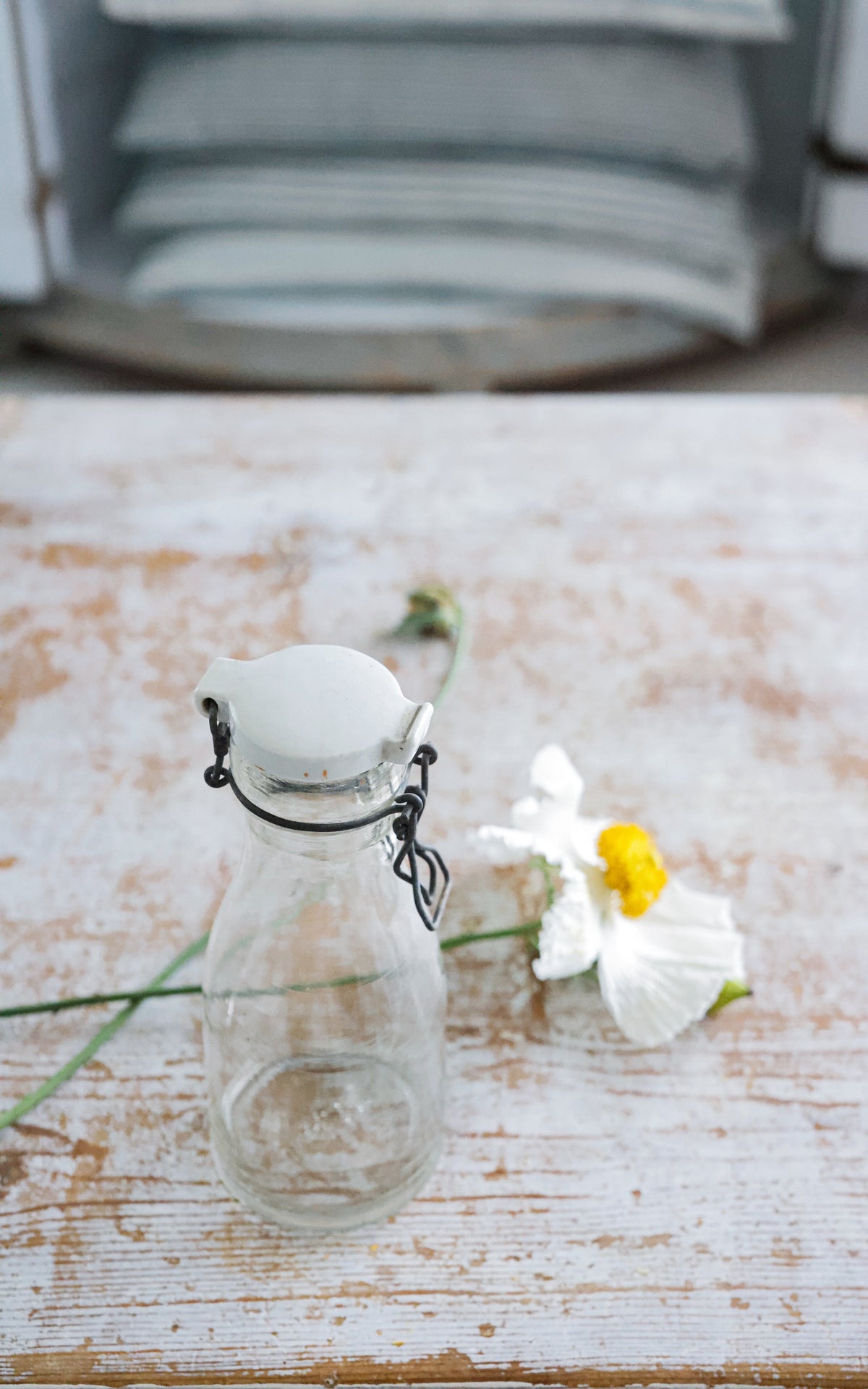Vintage French Porcelain Canning Jar