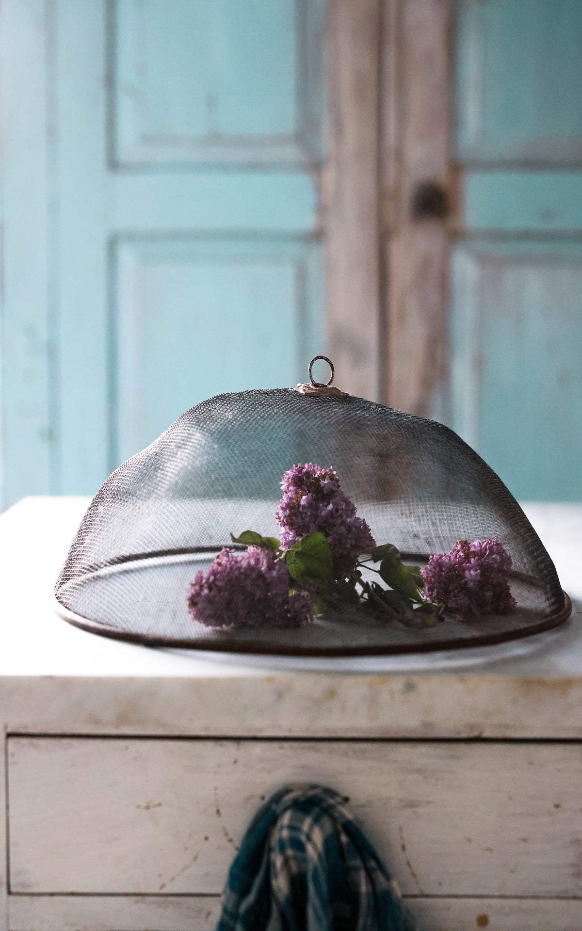 Vintage French Food Screen