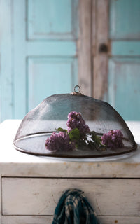 Vintage French Food Screen