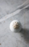 Vintage French Ironstone Sugar Shaker