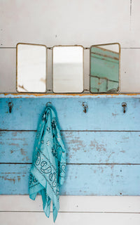 Vintage French Mirror