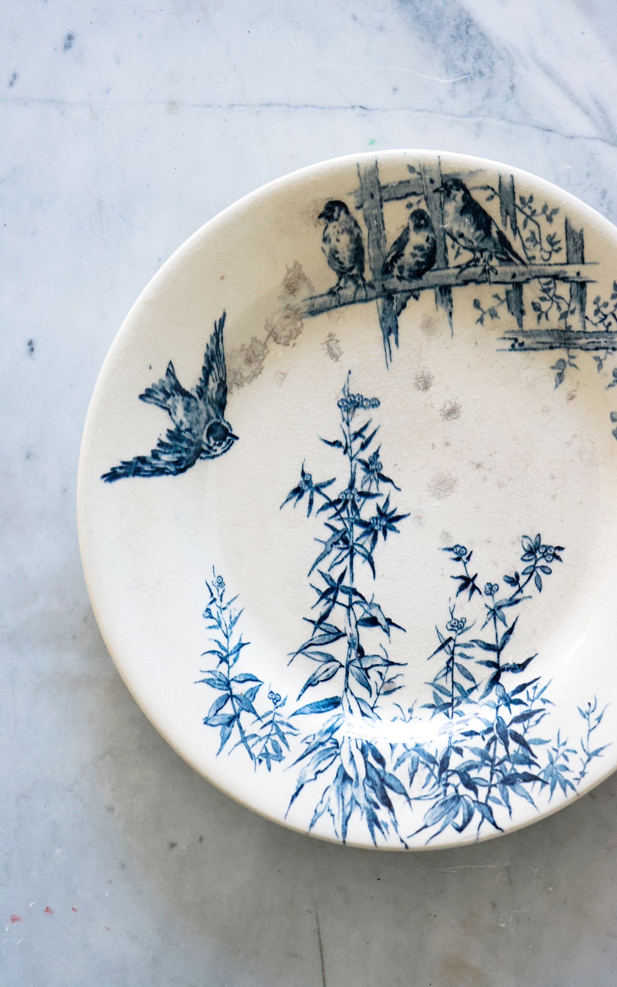 One vintage French Ironstone Plate