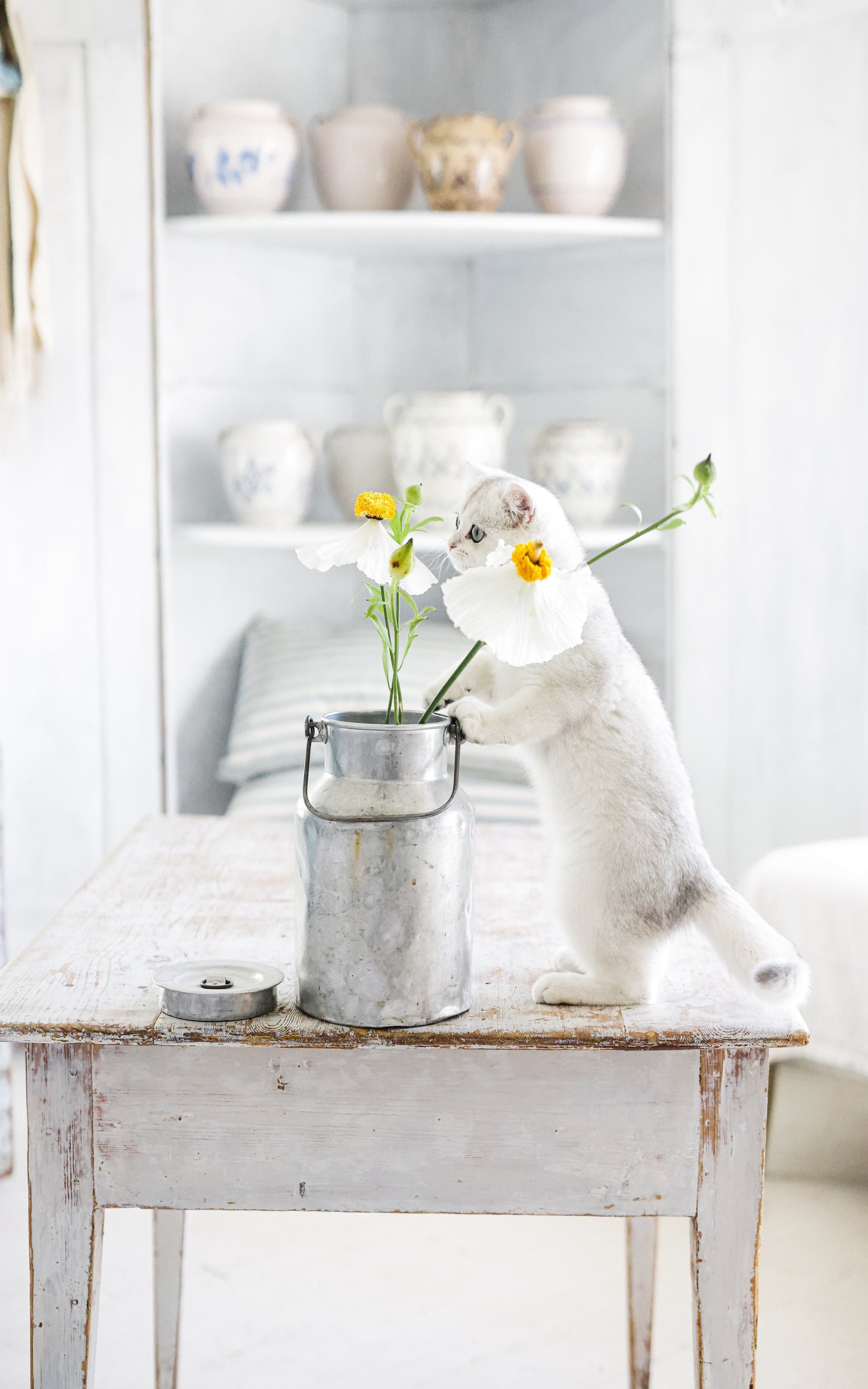 Vintage Swedish Milk Can