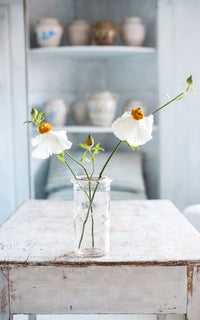 Large Vintage French Canning Jar
