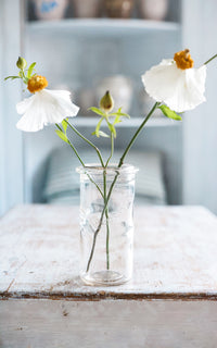 Large Vintage French Canning Jar