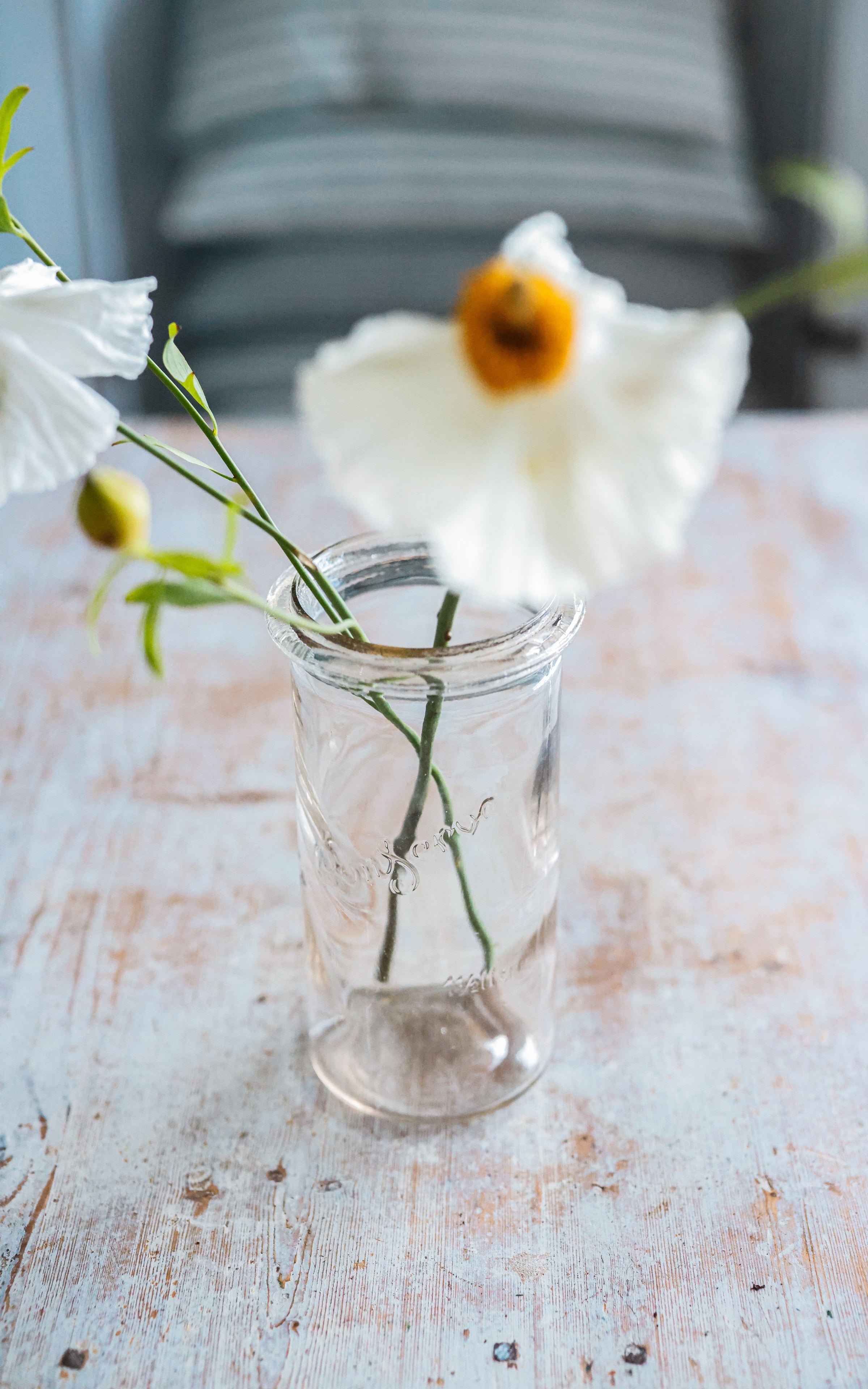 Large Vintage French Canning Jar