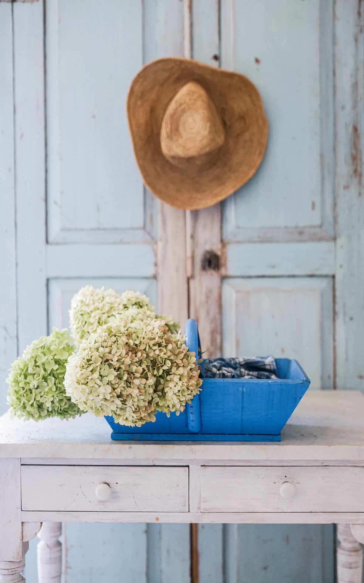 Vintage French Trugg