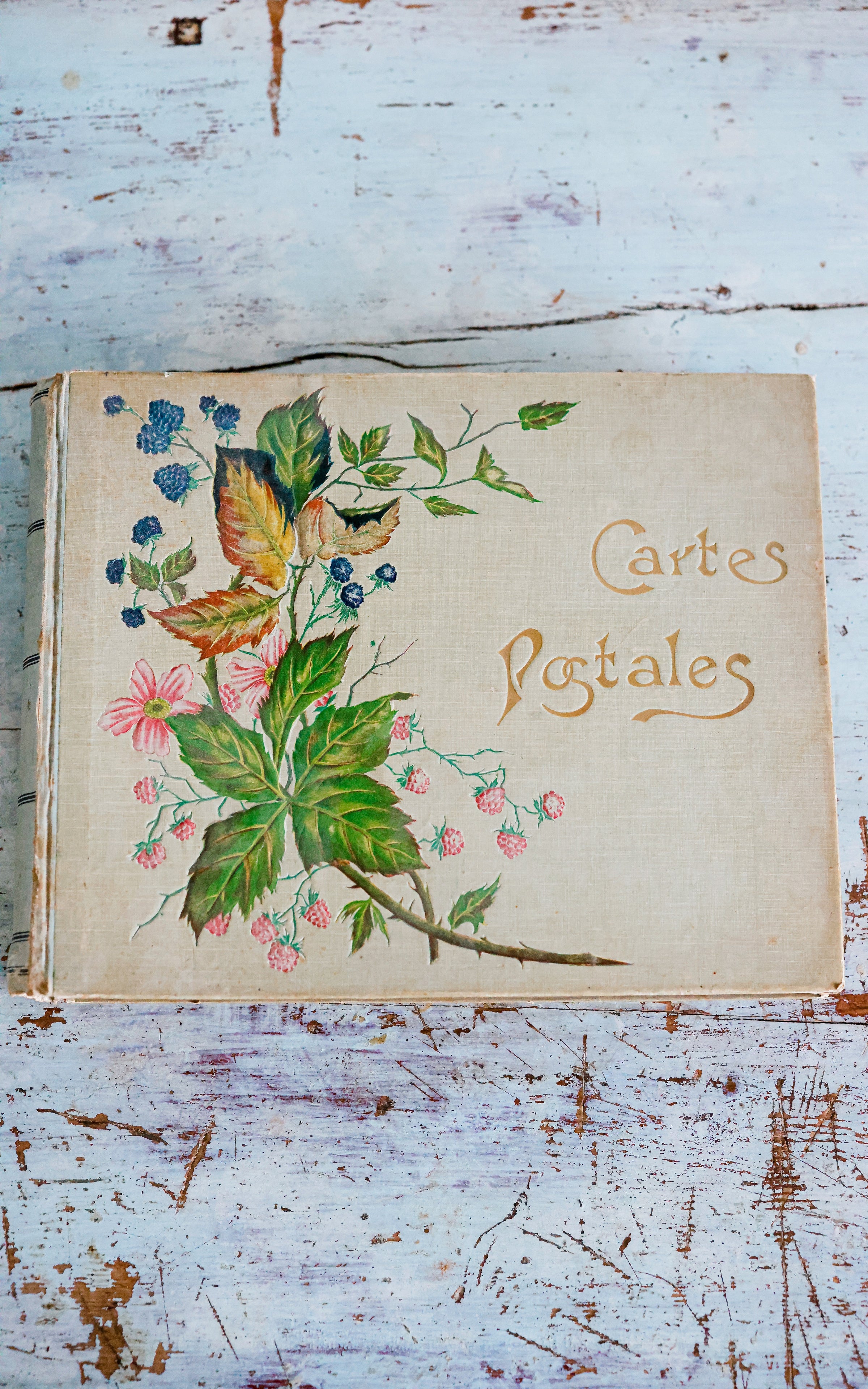 Vintage French Postcard Album