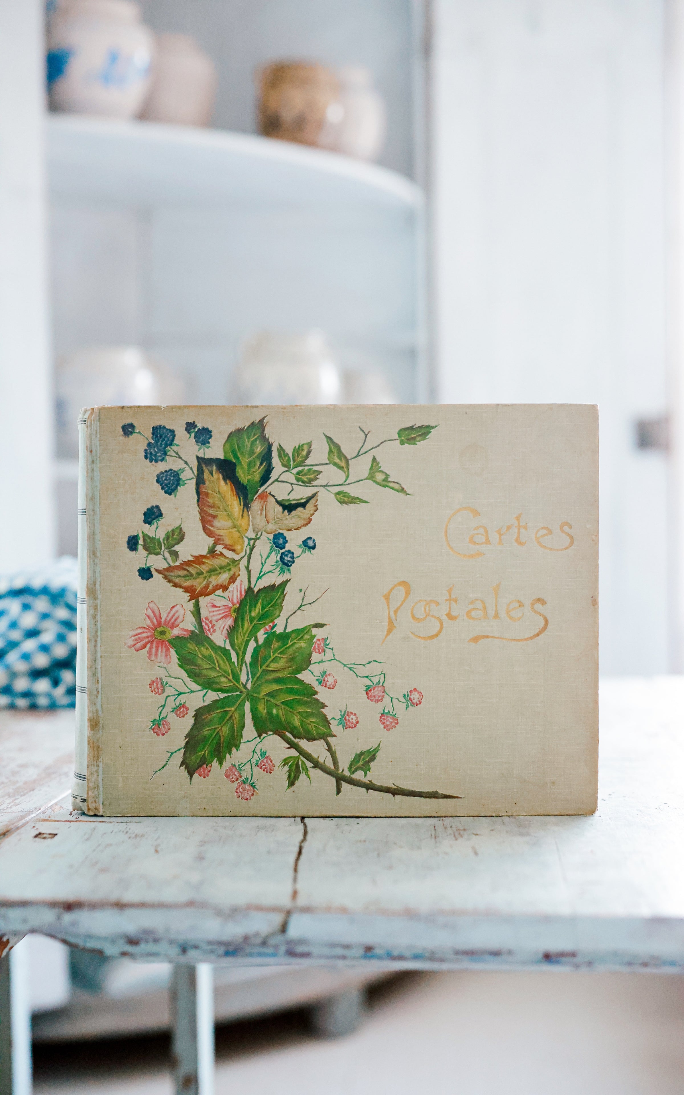 Vintage French Postcard Album