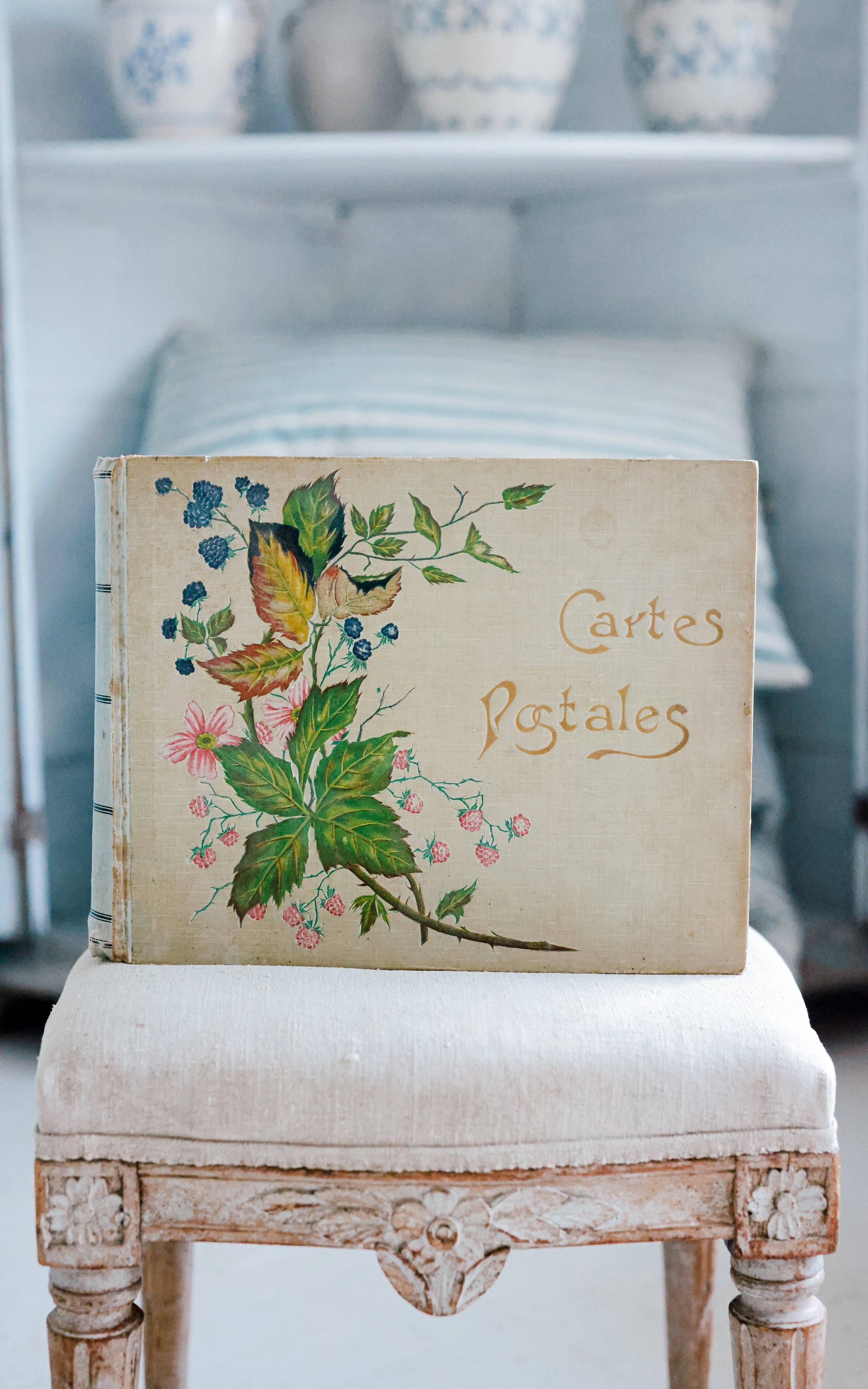 Vintage French Postcard Album