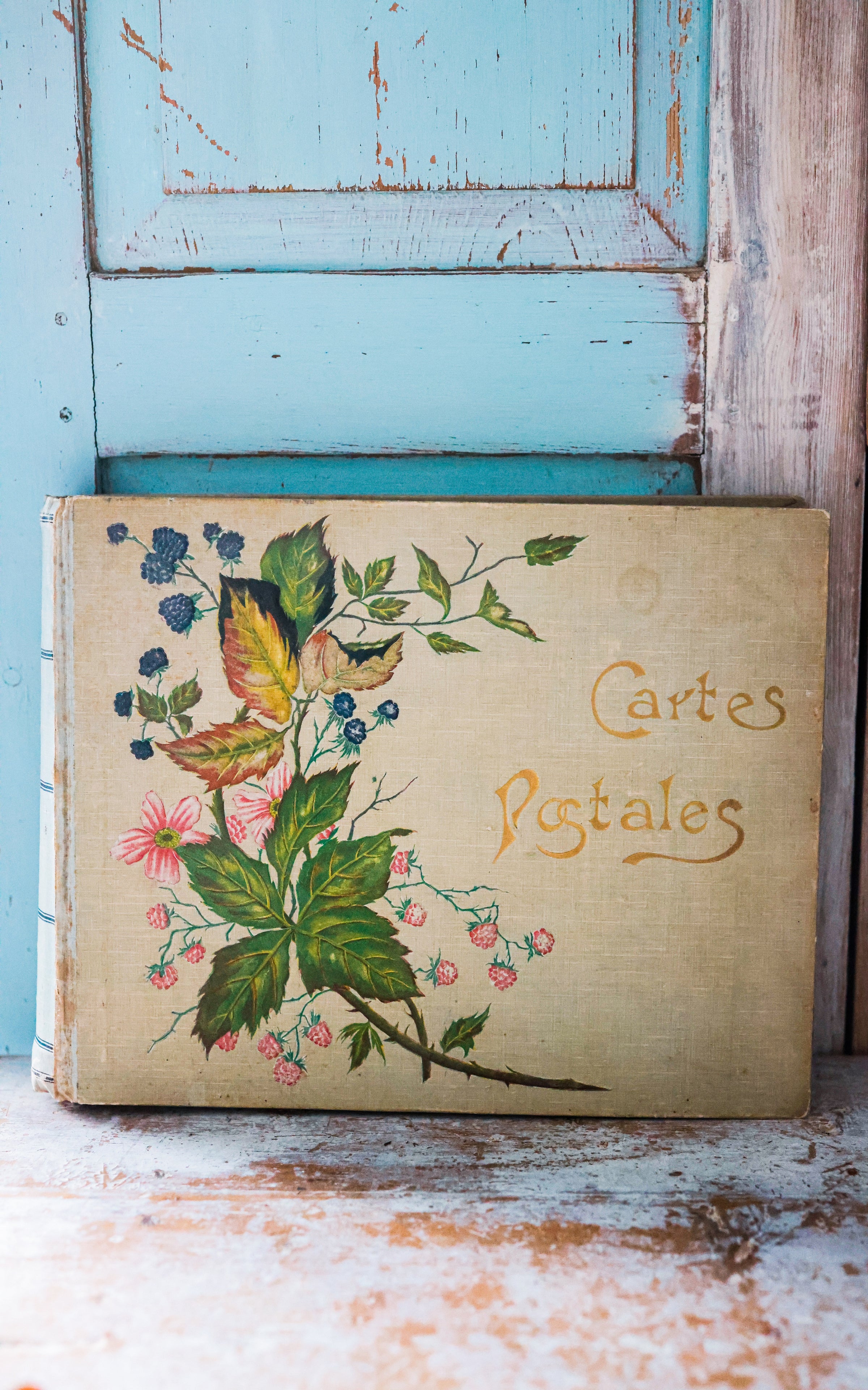 Vintage French Postcard Album