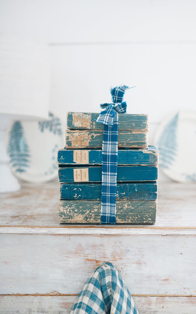 Stack of Vintage French Books