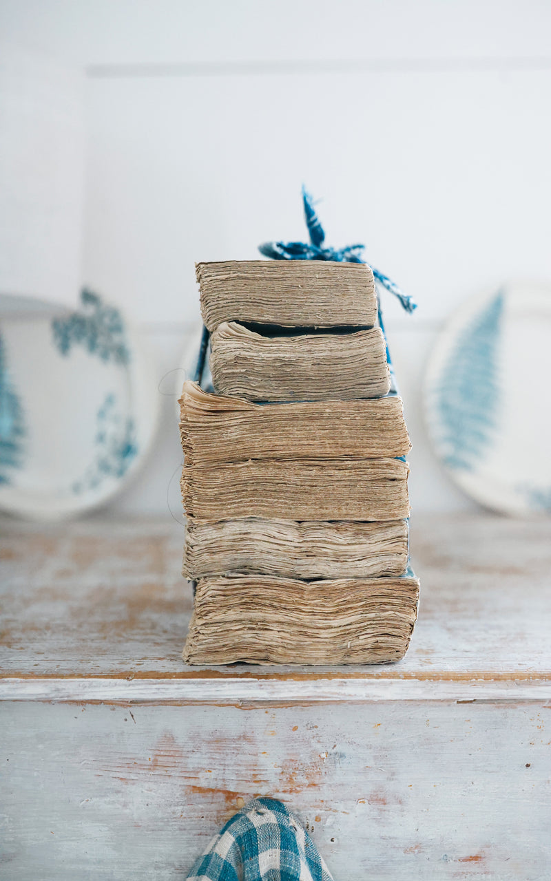Stack of Vintage French Books