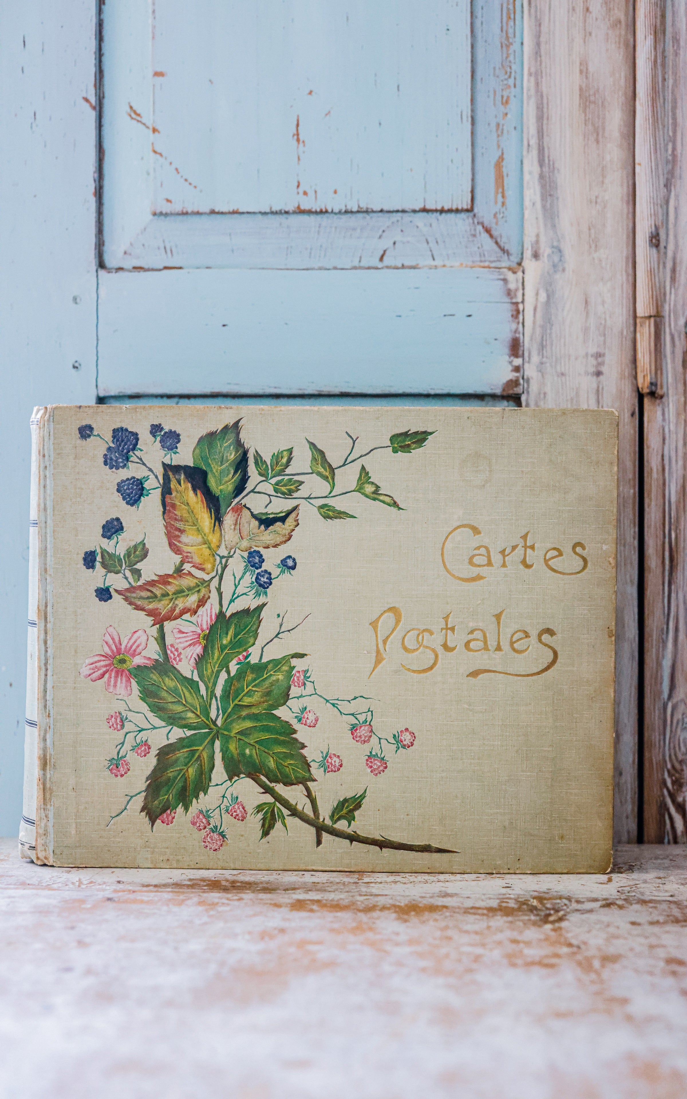 Vintage French Postcard Album