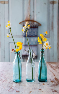 Set of Three Petite Vintage Swedish Bottles