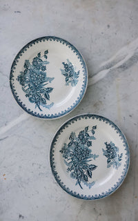 Set of Two Vintage French Ironstone Plates