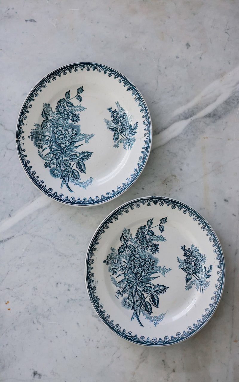 Set of Two Vintage French Ironstone Plates