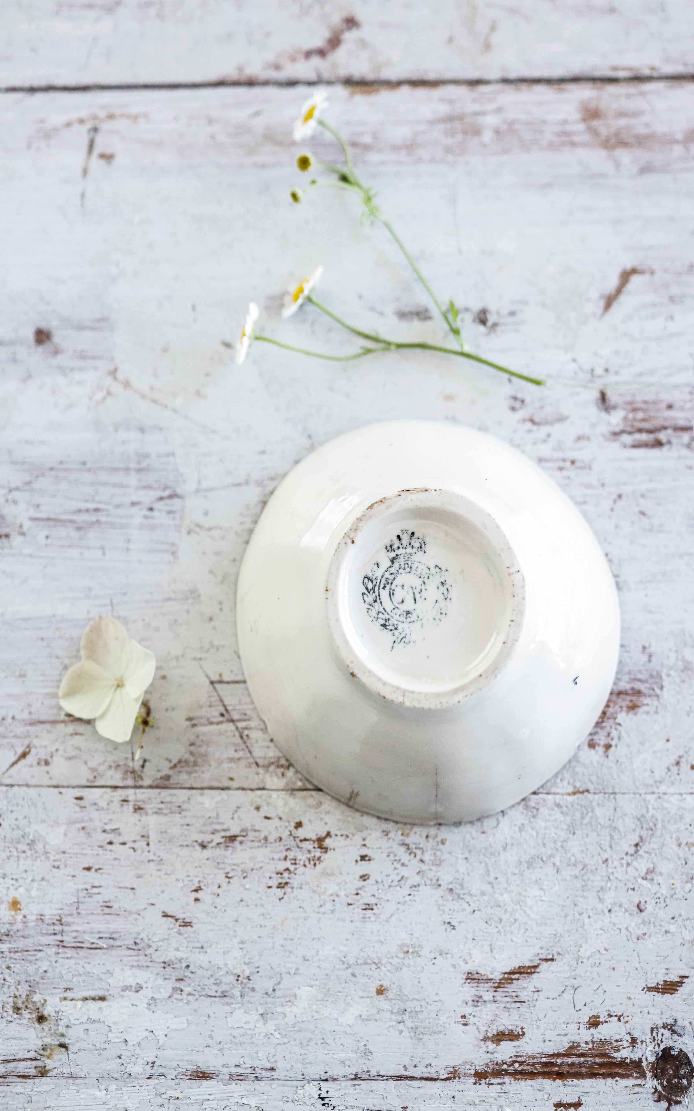 Vintage French Dish