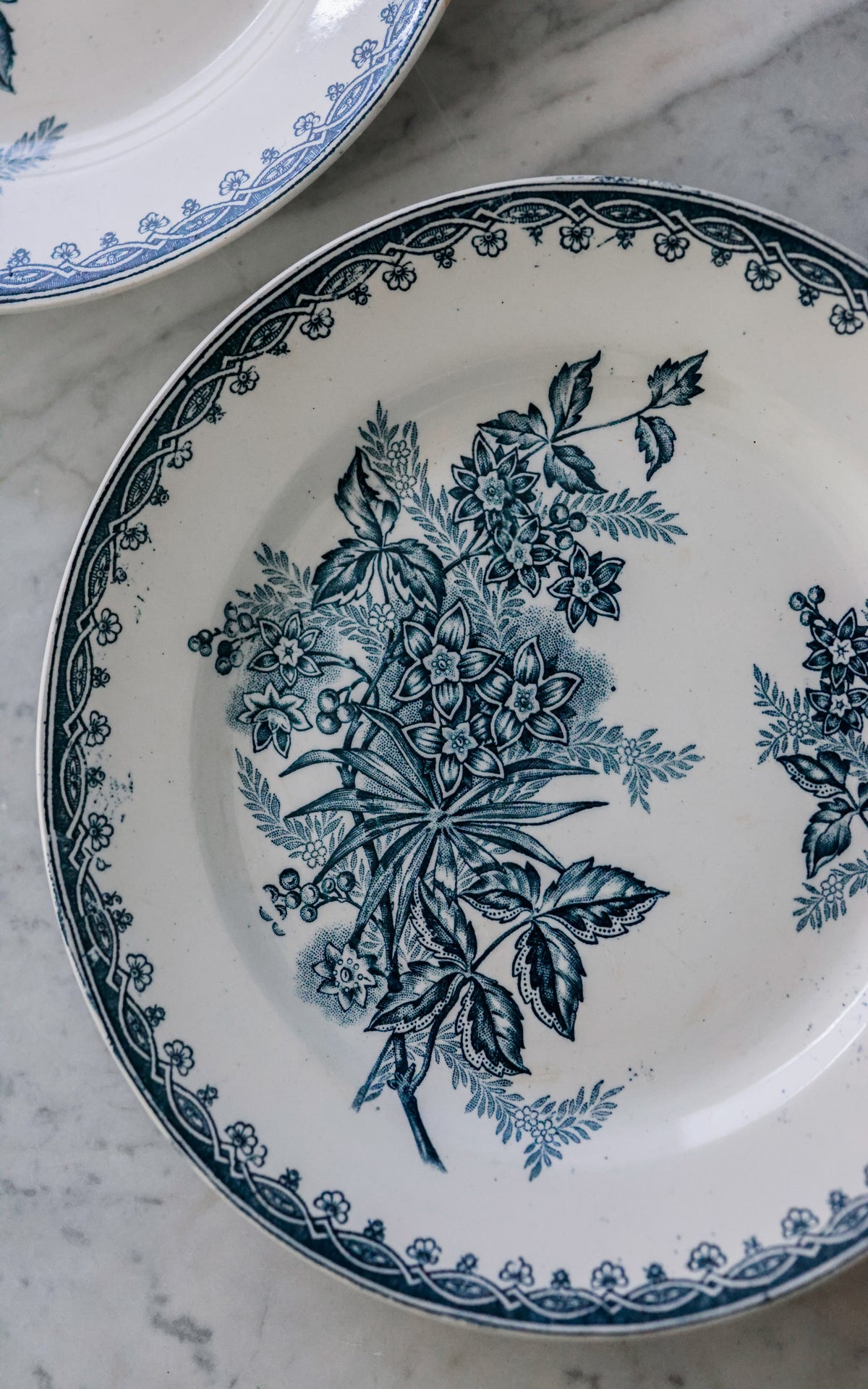 Set of Two Vintage French Ironstone Plates