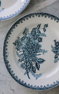 Set of Two Vintage French Ironstone Plates