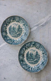 Set of Two Vintage French Transferware Plates