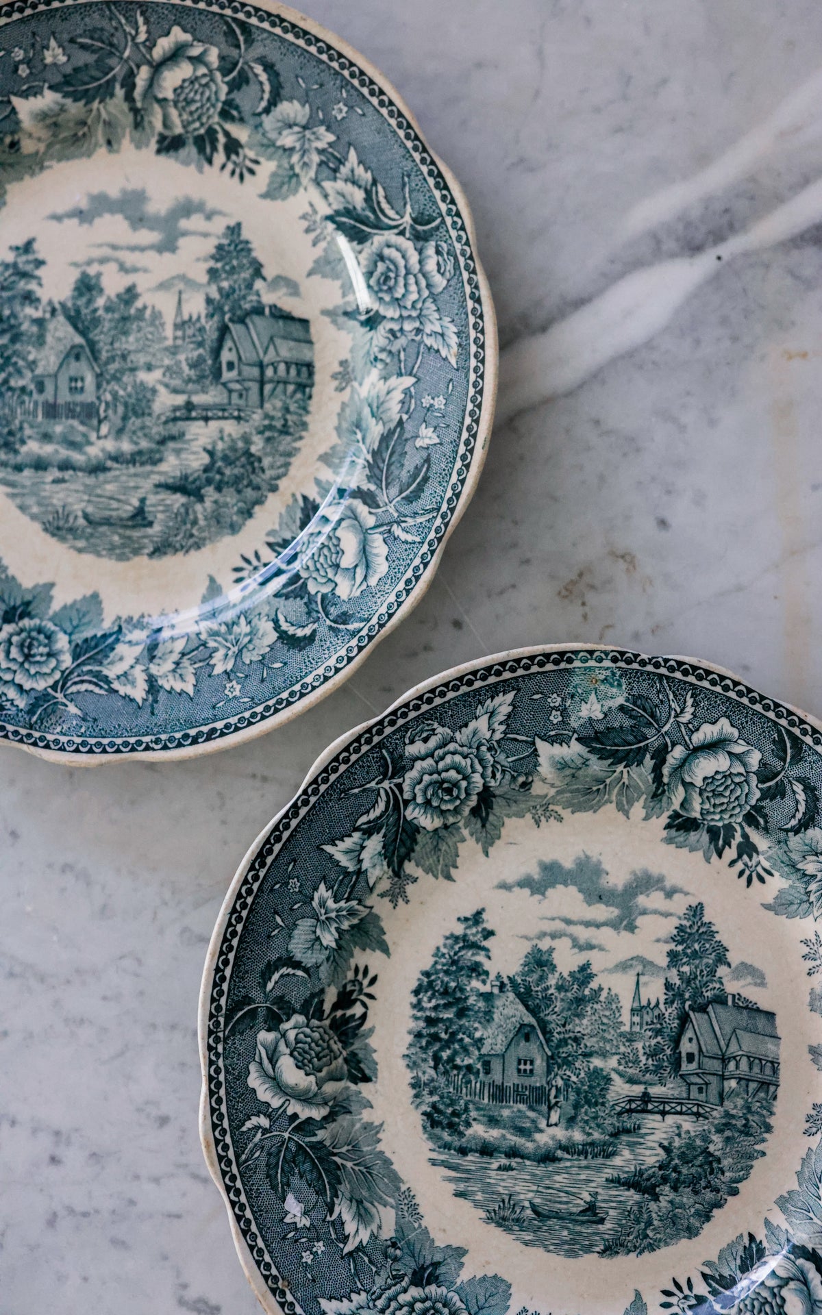 Set of Two Vintage French Transferware Plates