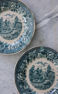 Set of Two Vintage French Transferware Plates