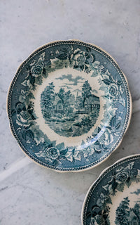 Set of Two Vintage French Transferware Plates