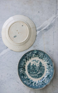 Set of Two Vintage French Transferware Plates