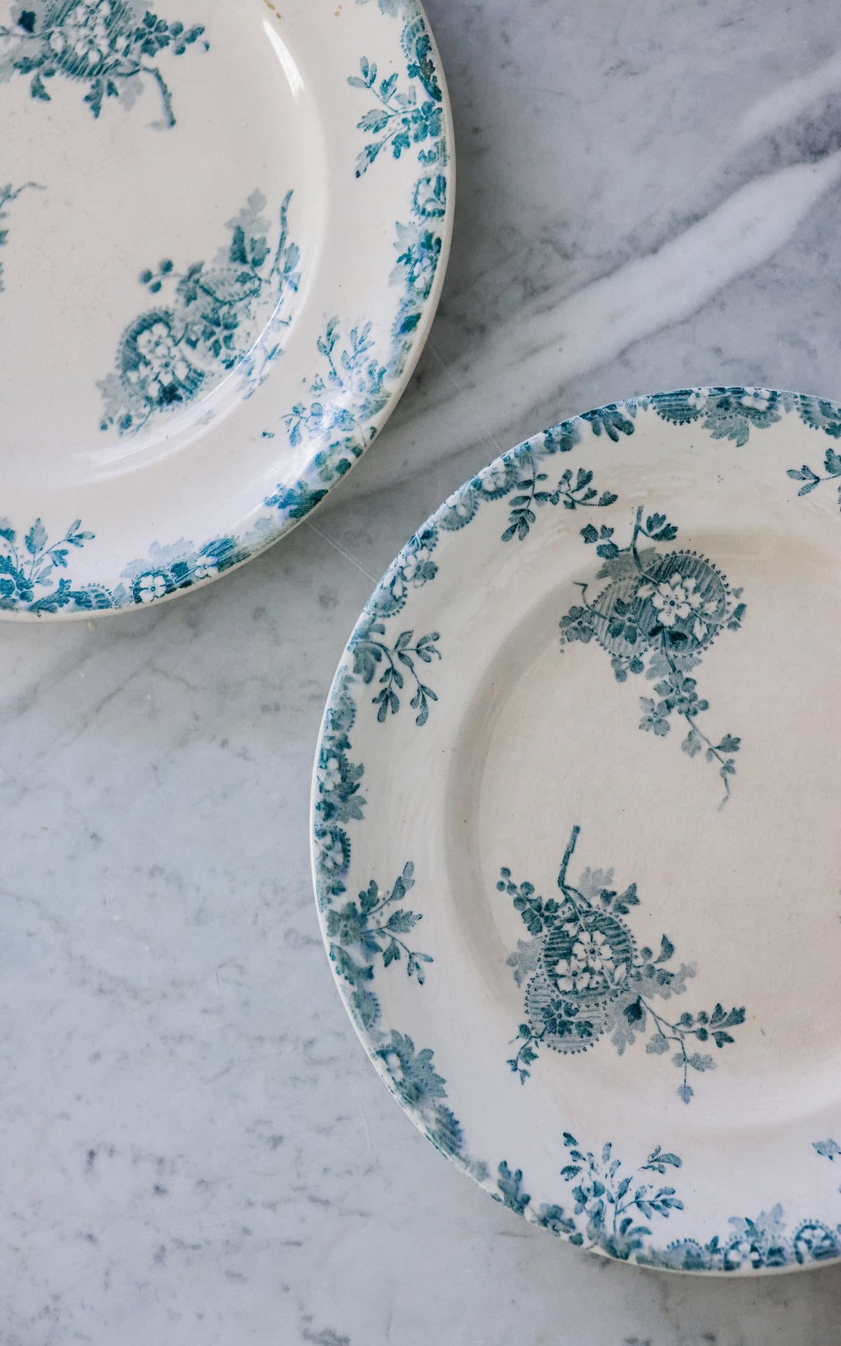 Set of Two Vintage French Ironstone Transferware Plates