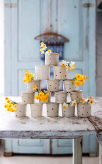 Set of 17 Vintage French Stoneware Cheese Molds