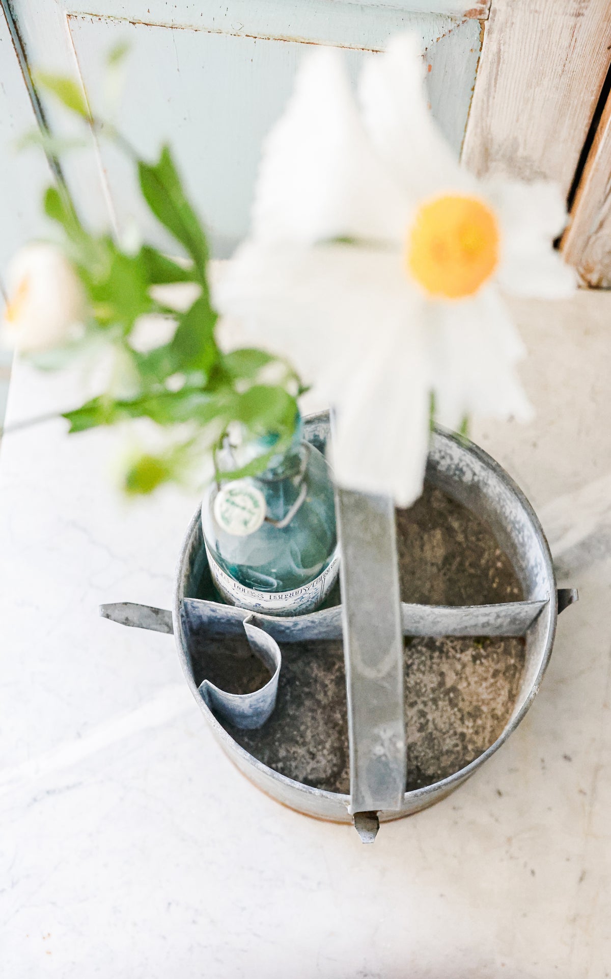 Vintage French Bottle Carrier