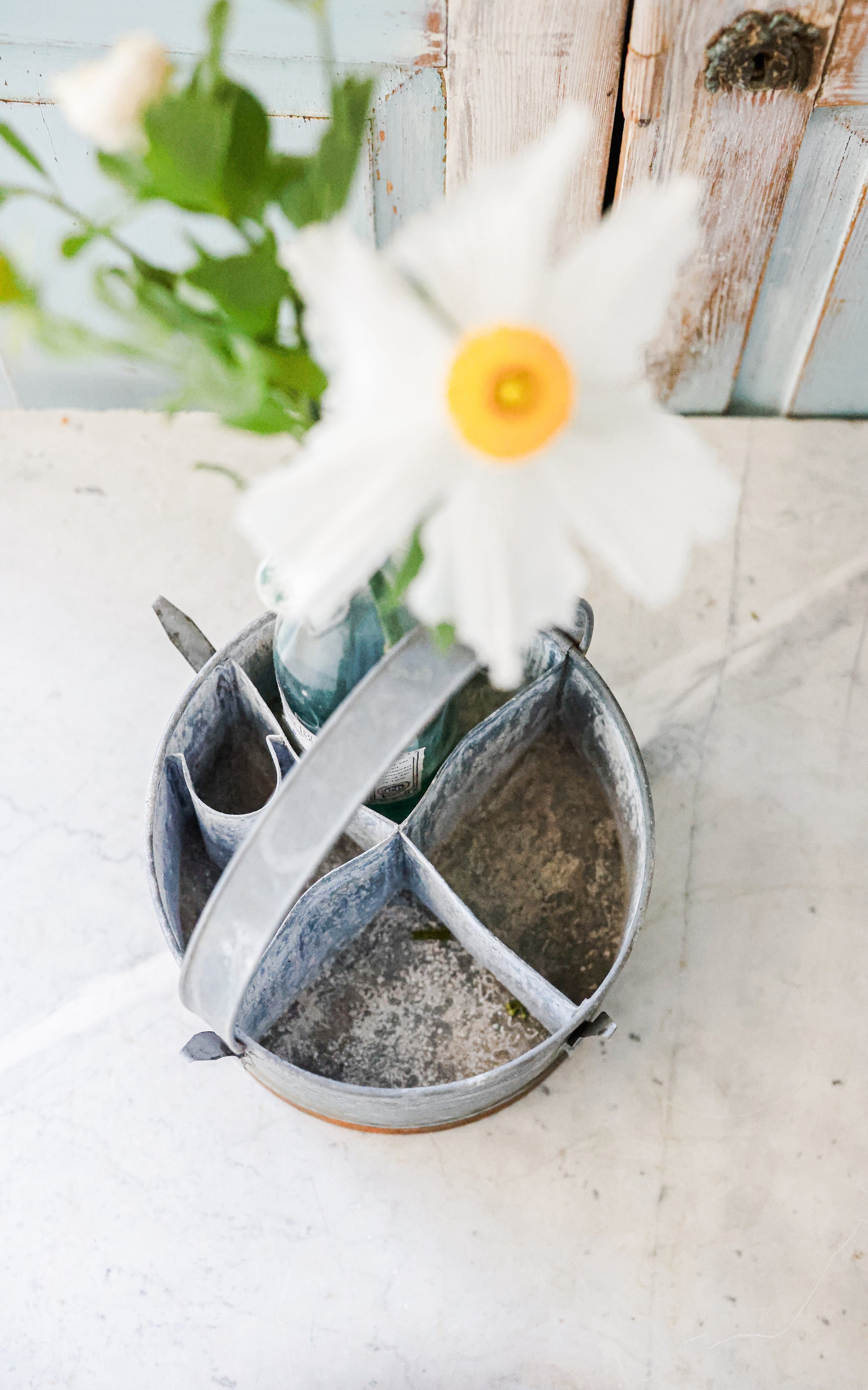 Vintage French Bottle Carrier
