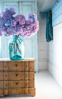 Petite Vintage Swedish Chest of Drawers