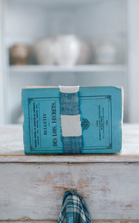 Vintage French Book Set