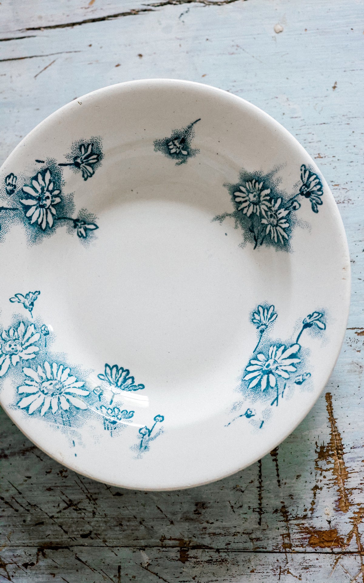 Vintage French Stoneware Plate