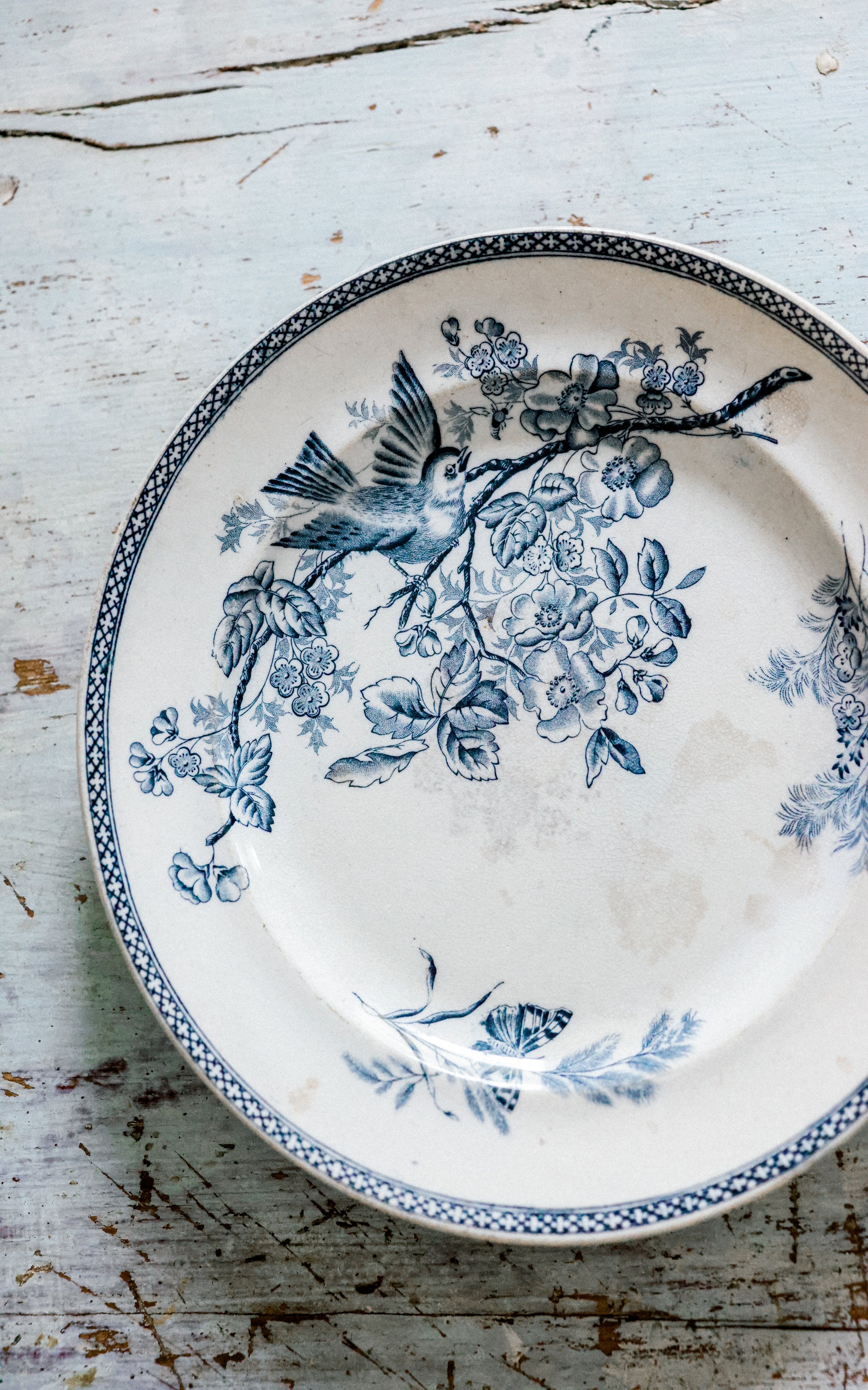 Vintage French Stoneware Plate