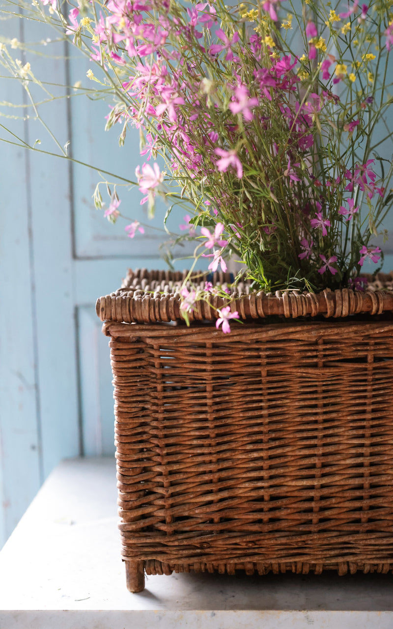 Vintage French Fishing Basket