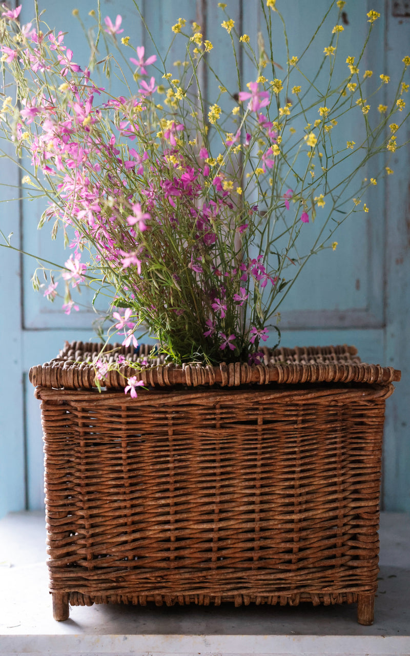 Vintage French Fishing Basket