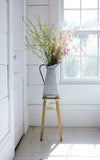Vintage French Zinc Pitcher
