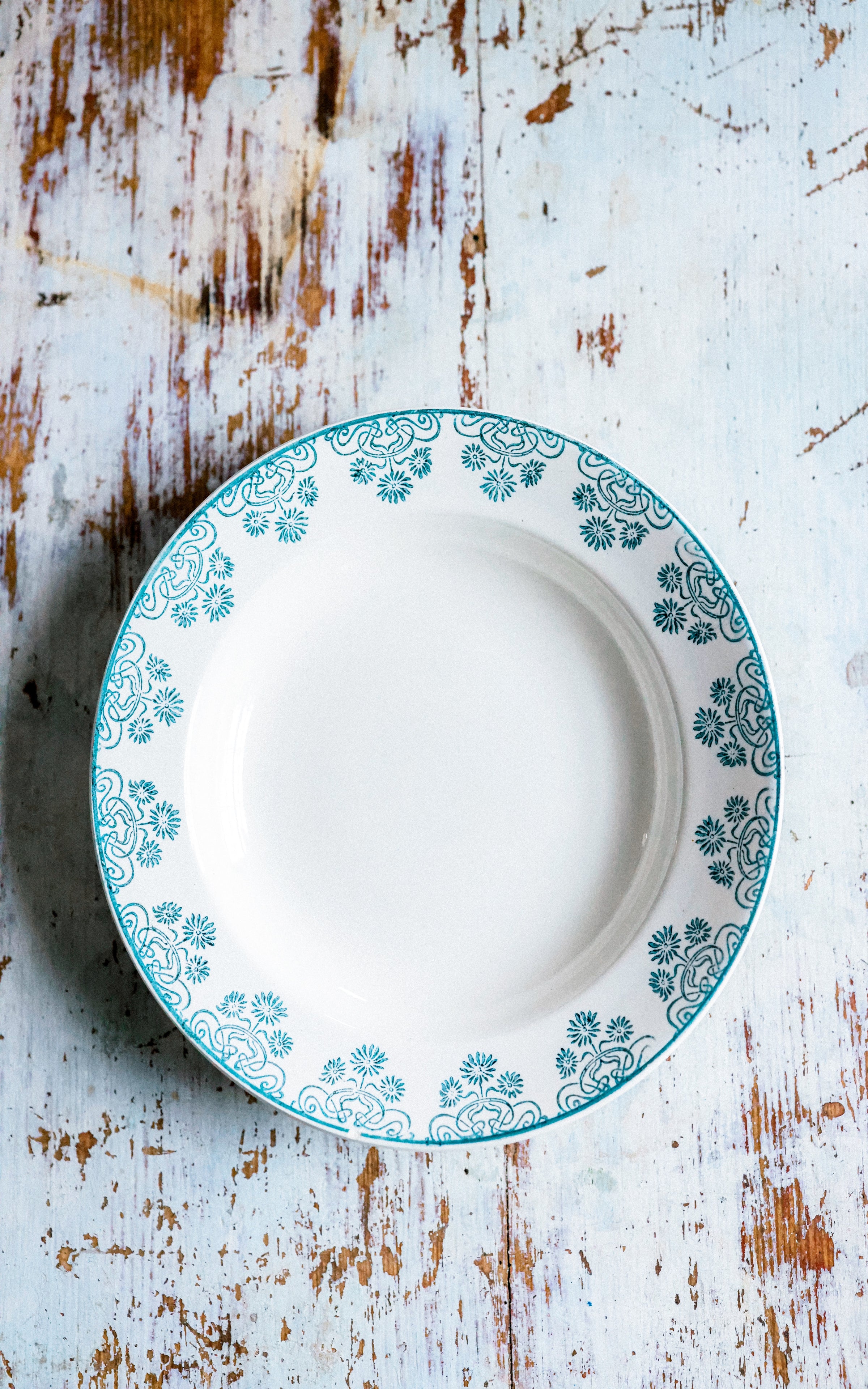 Set of TWO Vintage French Stoneware Plates