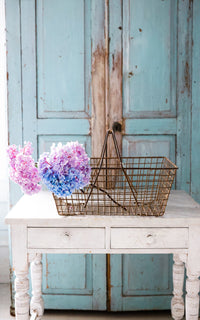 Vintage French Oyster Basket