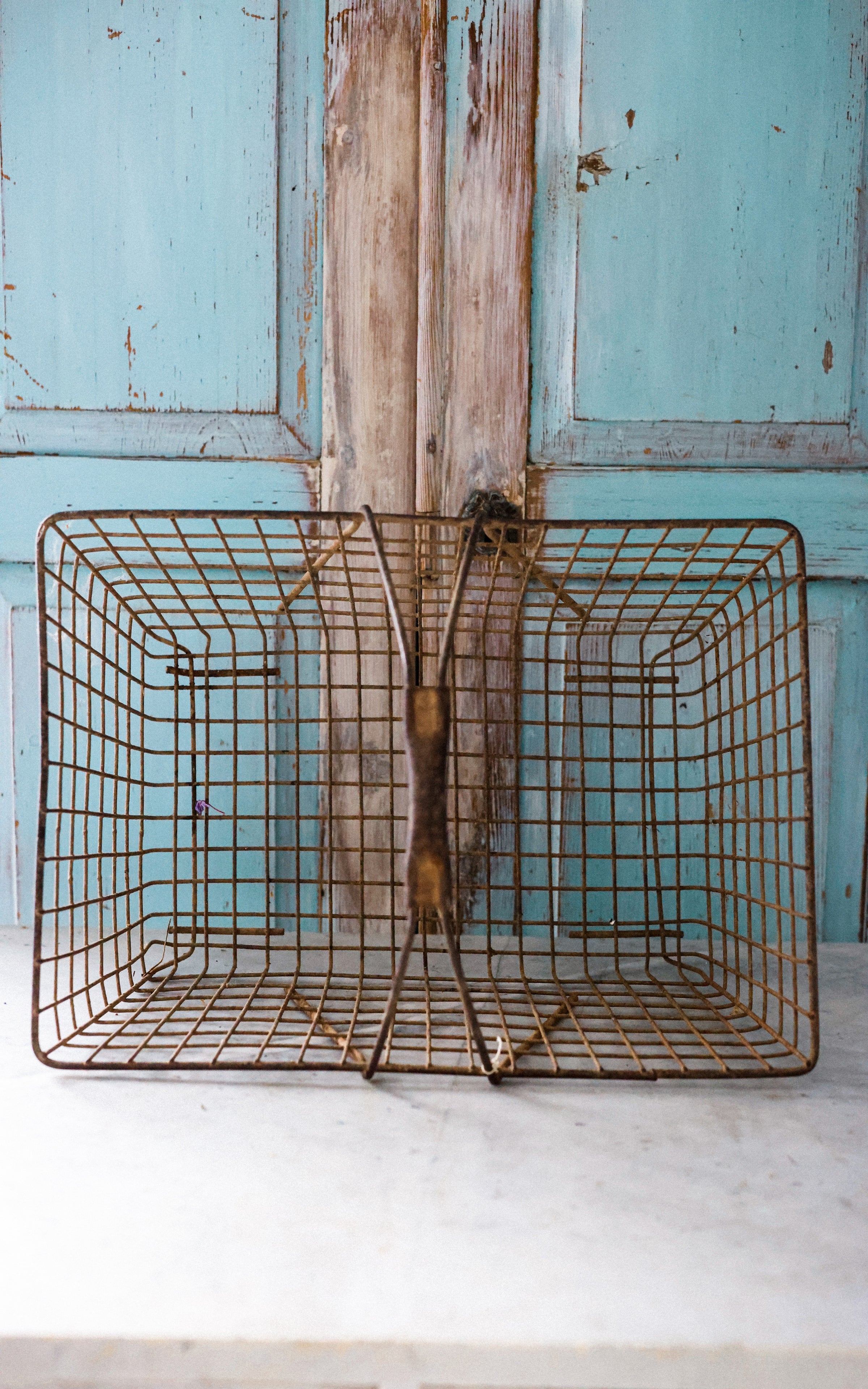 Vintage French Oyster Basket
