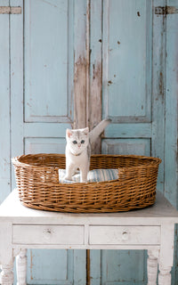 Vintage French Basket