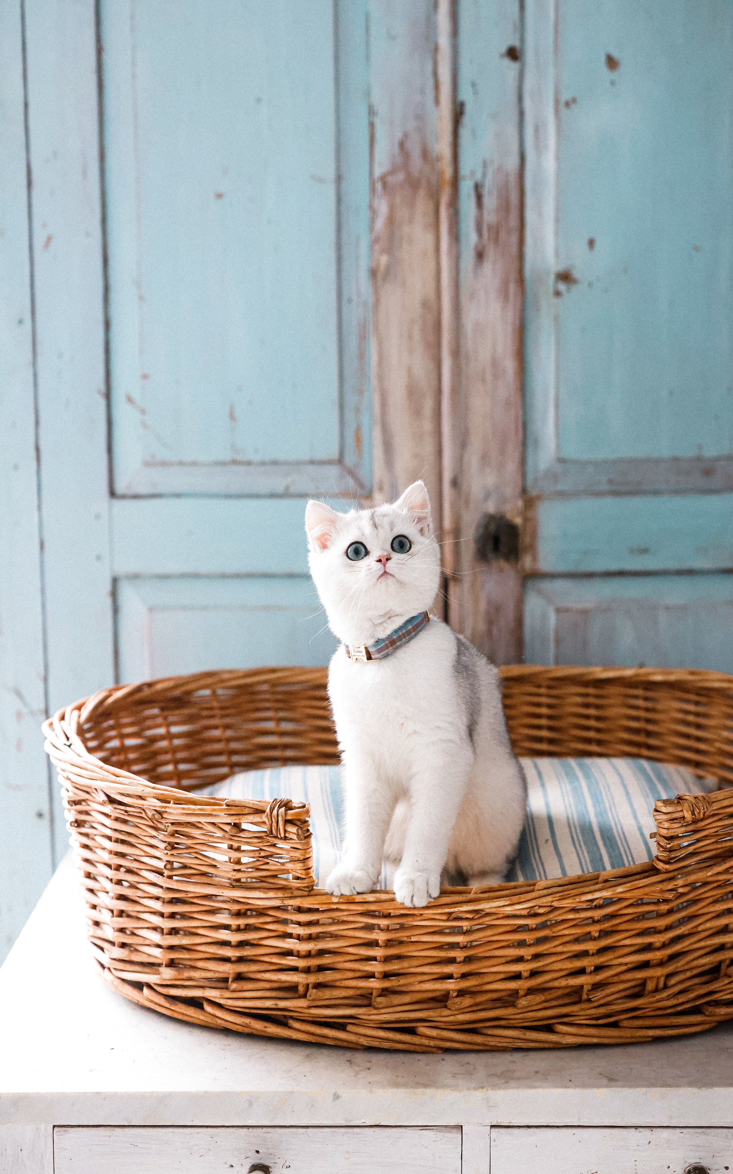 Vintage French Basket