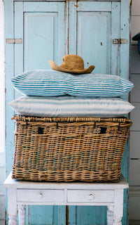 Vintage French Travel Trunk